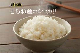 【のし付き箱入り】
新潟県長岡市とちお産コシヒカリ4kg｜
山の湧水で育ったこだわり米｜
贈り物にもご自宅用にも｜
できるだけ早く発送｜
送料相当分値引き中