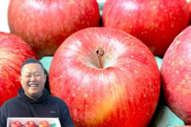感謝お礼セール‼️とことん味にこだわりました💪😊🍎青森県産葉取らず完熟ふじ約6kg家庭用‼️