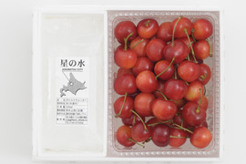 佐藤錦500ｇ【予約販売】北海道・芦別産【大橋さくらんぼ園】