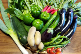 【お試しサイズ】生命力溢れる季節の野菜セット5品種(野菜を食べて笑顔になろう！)