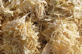 【無添加千切り大根】20g和歌山産