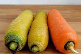 【予約販売】農家直送！旬のとれたて野菜8～10種たっぷり詰め合わせ「ギュッとセット！」那須高原産！