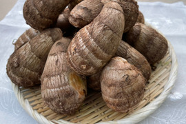 【自然栽培】千葉県産さといも　総重量２Kg