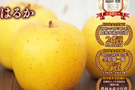 令和８年産予約分です！
「りんごの甘さじゃない♪」幻のりんご
りんご界のラ・フランス♪「はるか」
甘さを究極の糖度を求めた無袋栽培
３kg