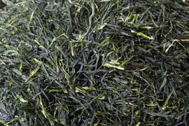 玉露（2025）さみどり 加茂自然農園のお茶　お茶・茶葉　農薬・肥料不使用　緑茶お茶・茶葉　農薬・肥料不使用　緑茶