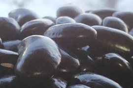 《メール便》【お徳用】ぽっけの黒花豆880㌘【北海道自然栽培】