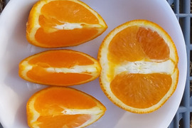 果汁たっぷり【きよみ】清見晩柑(4Kg)和歌山産