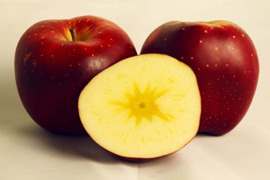 【先行予約・10月下旬発送予定】おいらせ 霜降り蜜の高級りんご 5kg（9～20個）