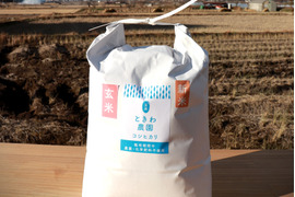 【令和7年産・新米】農薬・化学肥料不使用　長野県産コシヒカリ【玄米10kg】