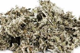 ヨモギ茶(山口県産、農薬、除草剤不使用)２０ｇ