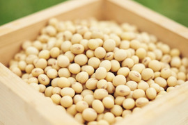 乾燥大豆　ふくゆたか　300g
