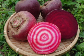 3kg✽２種類のビーツセット✽【農薬・化学肥料不使用】