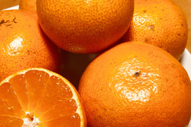 熊本発農薬不使用🍊  5kg 宮川.原口早生　サイズフリー『朝市限定』（約35個前後入）