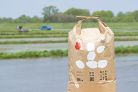 【お米番付優秀賞農家】有機JAS認証 北海道 ゆめぴりか玄米10kg