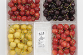 4色セット2ｋｇ【予約販売】北海道・芦別産さくらんぼ【大橋さくらんぼ園】7月下旬～発送