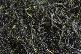 お茶・茶葉　農薬・肥料不使用　緑茶　熟茶（2021） 煎茶 おくみどり 加茂自然農園のお茶