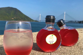 【無添加・農薬・化学肥料等不使用栽培】コーディアルシロップ　ブラッドオレンジ（モロ）150ml×2本