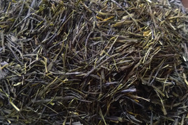 煎茶（2024）さやまかおり 加茂自然農園のお茶　農薬・肥料不使用　緑茶