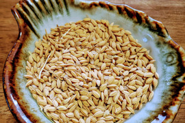 白州米 コシヒカリ『玄米』3kg