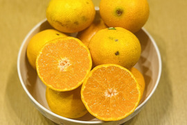 【訳あり】ご家庭用みかん10kg