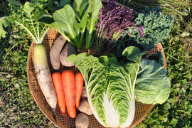 冬の野菜セット（6～8品目）兵庫県産　ご家庭用　重さ6kg