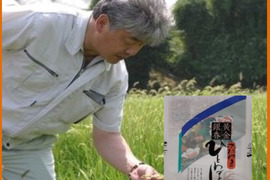 山形たかはた「愚直な精米」ひとめぼれ 5㎏　安心感持てる商品をお届けさせて頂きます。