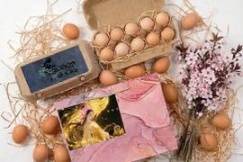 【とろける美味しさ】 烏骨鶏 20個 (破損保証付) 希少なアルカリ性卵 | 箸で掴める濃厚さ | 贈答品質を食卓へ 卵かけご飯 ギフトバック付き