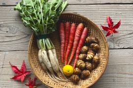 有機JASのお雑煮5種セット❗️【雑煮大根・金時人参・小えび芋・辛味大根・花柚子】お正月をオーガニック野菜で始めよう‼️［発送日12/26、27 限定：到着は遠方以外は翌日］