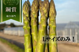 【受賞記念&登録記念SELE🎊】那須塩原産アスパラガス｜Lサイズのみ｜朝採れ｜1.0kg｜じゅわっと春のごちそう