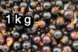 【ジャムづくりに】冷凍カシス•1kg（古代種ボールドウィン）※まとめ買い対応
