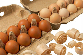 【食べ比べ】希少な烏骨鶏＆濃厚黒どりネラ 16個＋破卵保証4個（計20個）