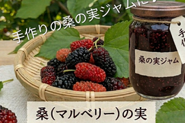 桑の実☆黒い実のみ※写真の赤い実の方はお届けできません☆冷凍☆農薬等不使用☆自然栽培☆60個入り☆マルベリーの実☆スーパーフードマルベリー☆ヤマト連携冷凍便でお届け※桑の葉は含まれません