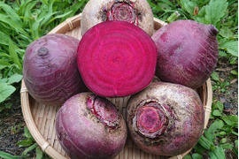たっぷり6kg✽甘くておいしい夏ビーツ✽【農薬・化学肥料不使用】