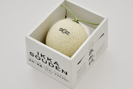 【11月15日は七五三♪】「外まで甘い」1.4kg 1玉マスクメロン