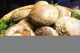 旬をお届け！みのりの秋子さん（プレミアム品）