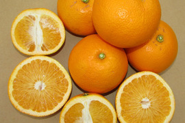 【越冬木成り】紀伊路屋 和歌山有田産 紅八朔(べにはっさく) 4.5kg