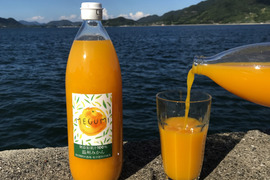 【農薬不使用栽培】柑橘ジュース4種類1000ml飲み比べセット （無添加果汁100％）