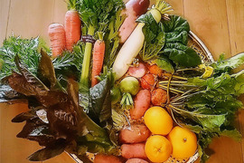 【10品目程度】季節のカラフル野菜と柑橘類セット