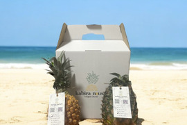 【石垣島産】ジュワリーパインとスナックパインのお得な食べ比べセット!!スナックパイン1玉・ジュワリーパイン1玉