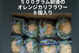 オレンジカリフラワー８個