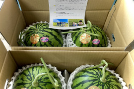 【期間限定&格安‼︎】小玉すいか4玉入り(2kg前後×4玉)