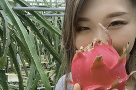 赤果肉【群馬県産】完全完熟ドラゴンフルーツ 2キロ