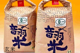 令和4年産 愛知県産音羽米 有機ＪＡＳ玄米10㎏(5kg×2)　オーガニック