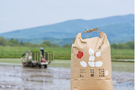 【お米番付優秀賞農家】有機JAS認証 北海道 ゆめぴりか白米5kg×2袋
