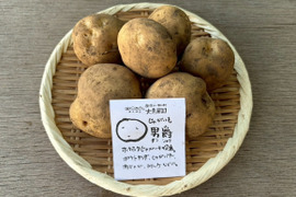 ホックホク！じゃがいも(男爵) 1袋 500g