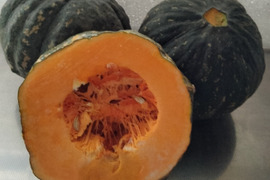 肉厚ホクホク兵庫産 かぼちゃ2個   2500ｇ