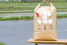 【新米】〈お米番付優秀賞農家〉 特別栽培米ゆめぴりか玄米10kg （10kg×1袋）
