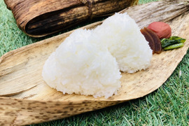 【令和４年産 新米１０ kg 】本当においしいお米食べた事ありますか？(熊本県特産 森のくまさん)販売開始！※玄米でも発送可能です！
