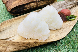 【令和４年産 新米５kg 】本当においしいお米食べた事ありますか？(熊本県特産 森のくまさん)販売開始！※玄米でも発送可能です！