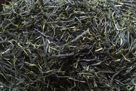 お茶・茶葉　農薬・肥料不使用　緑茶（2024） かぶせ茶　ごこう 加茂自然農園のお茶
